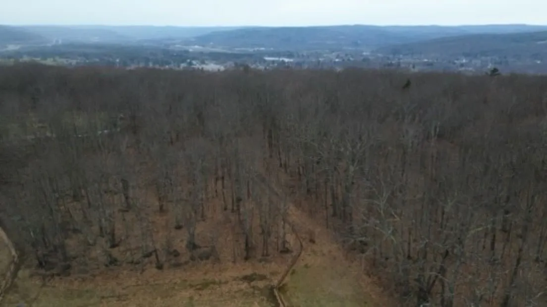 0 Pine Hill Road, Sidney, New York 13838, Sidney, New York 13838, ,Land,For Sale,0 Pine Hill Road, Sidney, New York 13838,R1581911