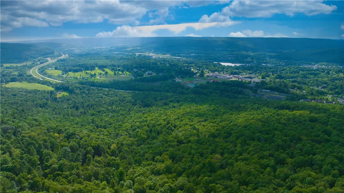 0 Pine Hill Road, Sidney, New York 13838, Sidney, New York 13838, ,Land,For Sale,0 Pine Hill Road, Sidney, New York 13838,R1581911