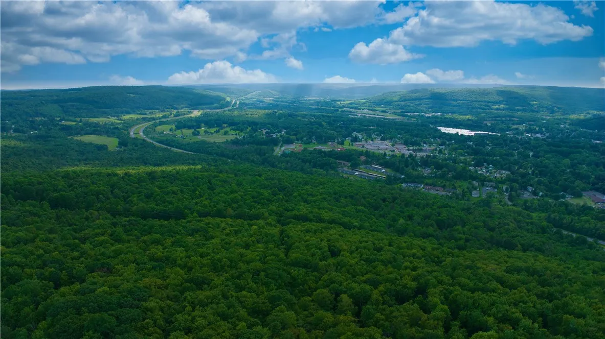 0 Pine Hill Road, Sidney, New York 13838, Sidney, New York 13838, ,Land,For Sale,0 Pine Hill Road, Sidney, New York 13838,R1581911