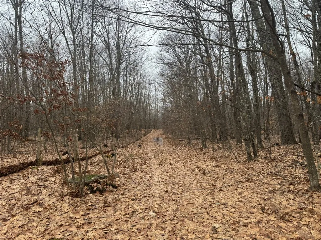 0 Pine Hill Road, Sidney, New York 13838, Sidney, New York 13838, ,Land,For Sale,0 Pine Hill Road, Sidney, New York 13838,R1581911