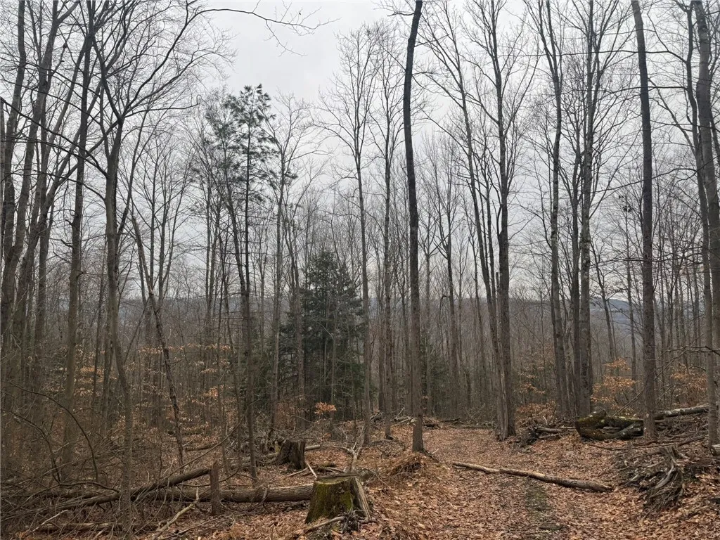 0 Pine Hill Road, Sidney, New York 13838, Sidney, New York 13838, ,Land,For Sale,0 Pine Hill Road, Sidney, New York 13838,R1581911