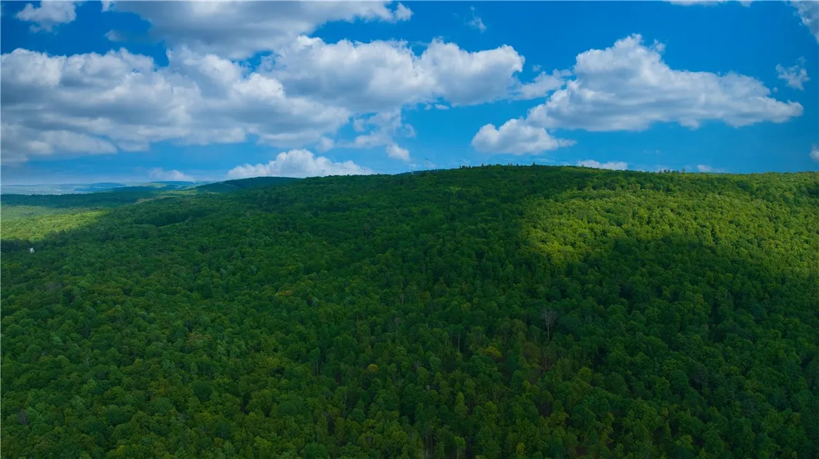 0 Pine Hill Road, Sidney, New York 13838, Sidney, New York 13838, ,Land,For Sale,0 Pine Hill Road, Sidney, New York 13838,R1581911
