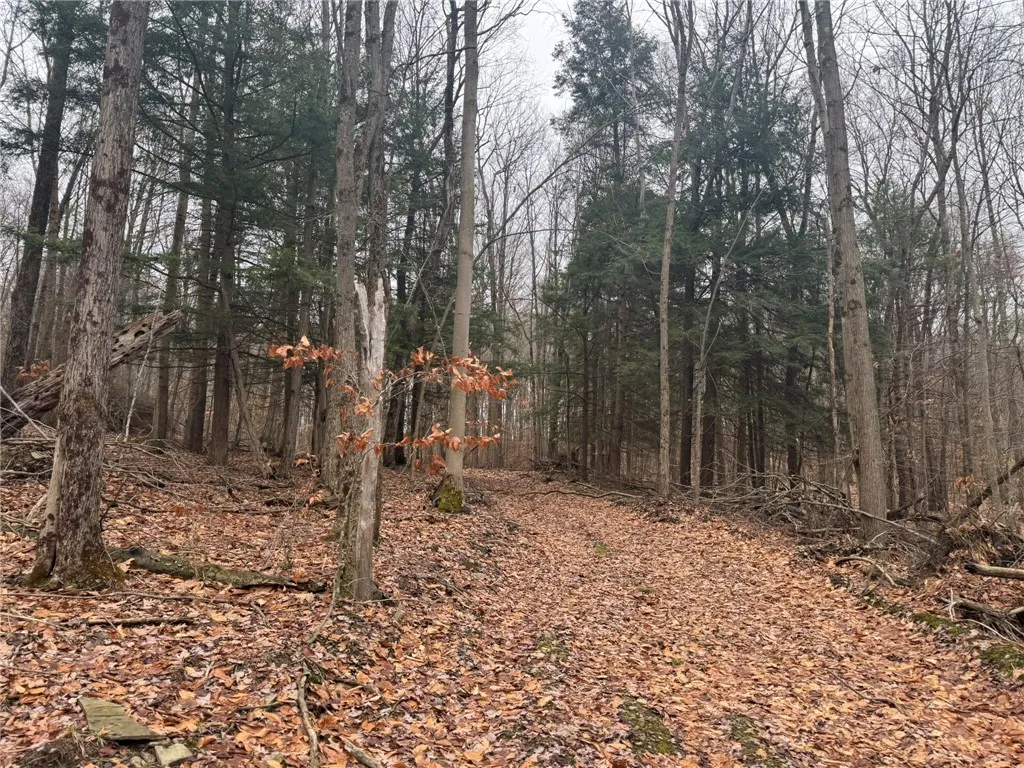0 Pine Hill Road, Sidney, New York 13838, Sidney, New York 13838, ,Land,For Sale,0 Pine Hill Road, Sidney, New York 13838,R1581911