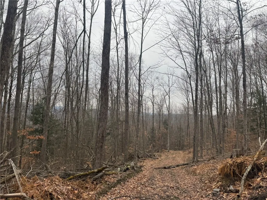 0 Pine Hill Road, Sidney, New York 13838, Sidney, New York 13838, ,Land,For Sale,0 Pine Hill Road, Sidney, New York 13838,R1581911