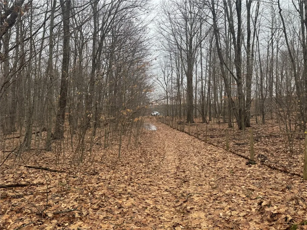 0 Pine Hill Road, Sidney, New York 13838, Sidney, New York 13838, ,Land,For Sale,0 Pine Hill Road, Sidney, New York 13838,R1581911