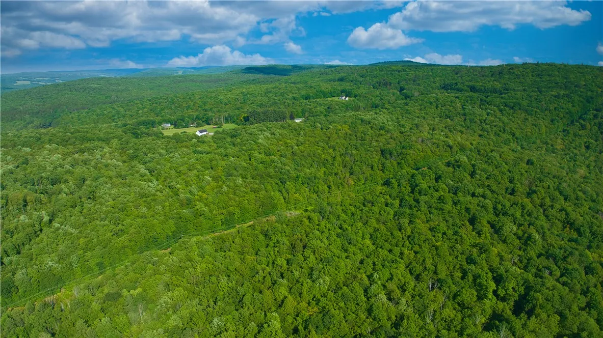 0 Pine Hill Road, Sidney, New York 13838, Sidney, New York 13838, ,Land,For Sale,0 Pine Hill Road, Sidney, New York 13838,R1581911