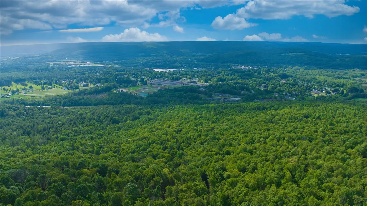 0 Pine Hill Road, Sidney, New York 13838, Sidney, New York 13838, ,Land,For Sale,0 Pine Hill Road, Sidney, New York 13838,R1581911