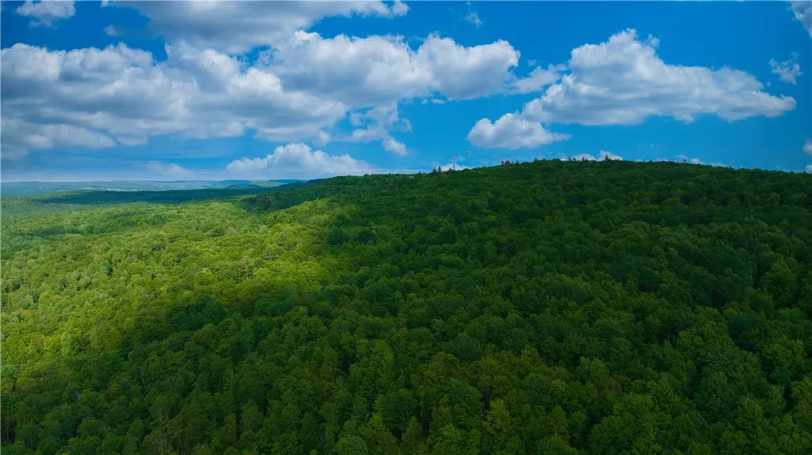 0 Pine Hill Road, Sidney, New York 13838, Sidney, New York 13838, ,Land,For Sale,0 Pine Hill Road, Sidney, New York 13838,R1581911