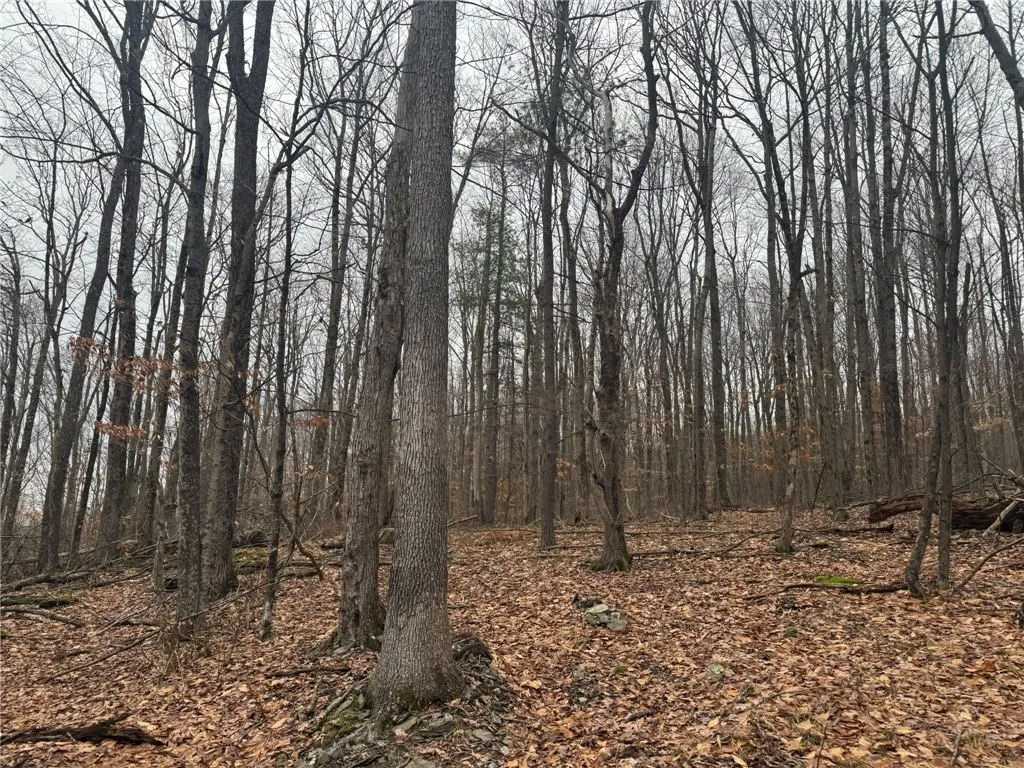 0 Pine Hill Road, Sidney, New York 13838, Sidney, New York 13838, ,Land,For Sale,0 Pine Hill Road, Sidney, New York 13838,R1581911
