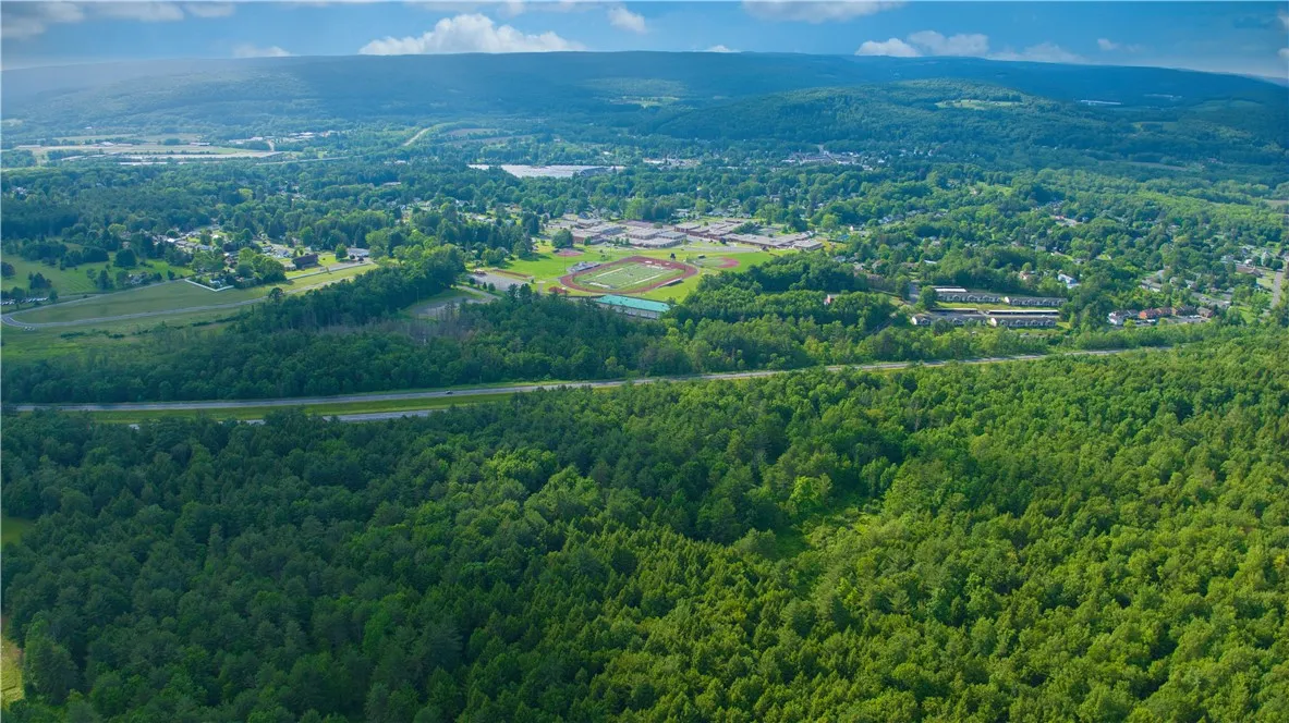 0 Pine Hill Road, Sidney, New York 13838, Sidney, New York 13838, ,Land,For Sale,0 Pine Hill Road, Sidney, New York 13838,R1581911