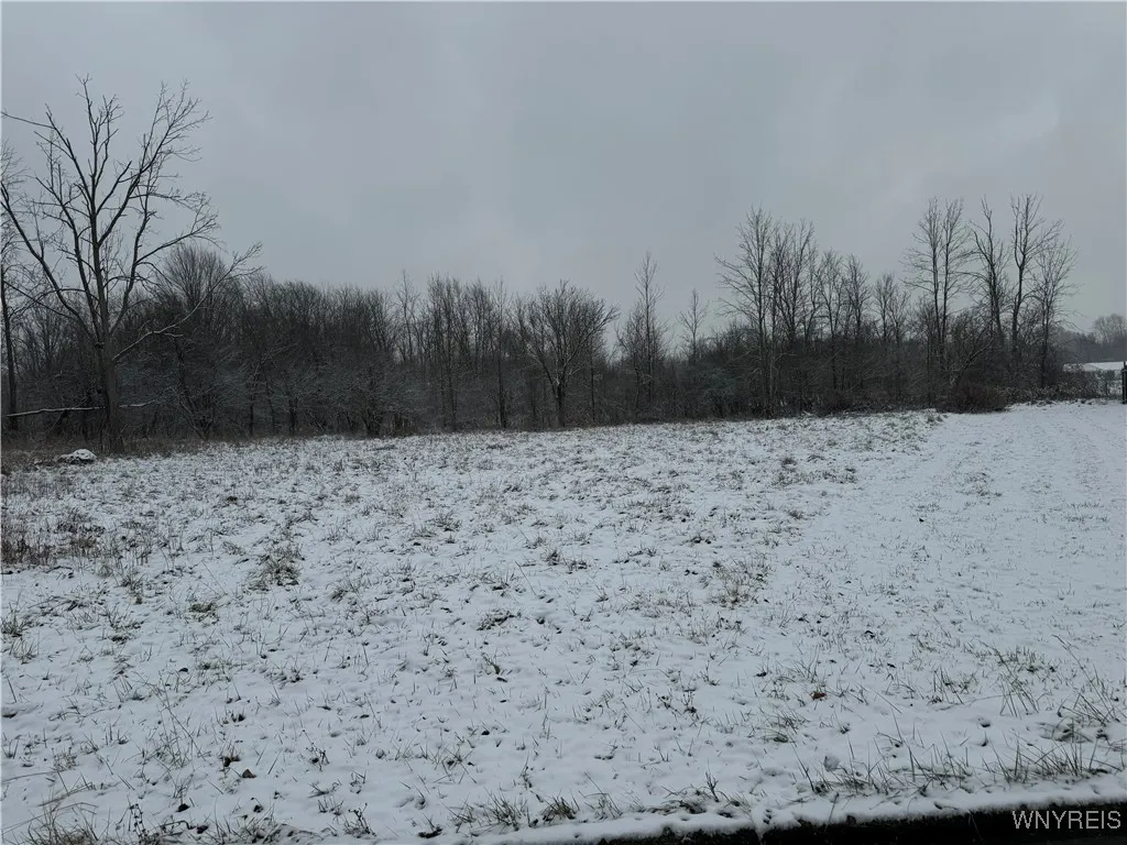 405 Elmwood Avenue, Lockport City, New York 14094, Lockport City, New York 14094, ,Land,Closed,405 Elmwood Avenue, Lockport City, New York 14094,0,B1581841