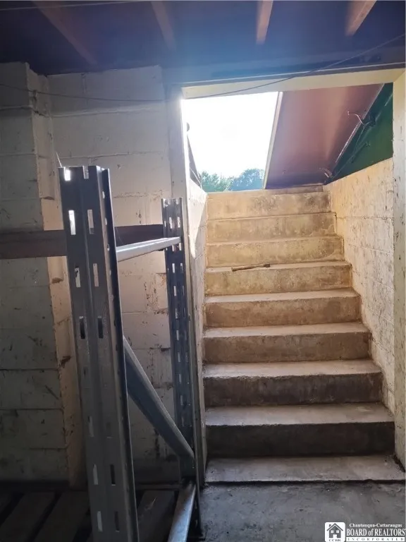 Bilco doors to backyard