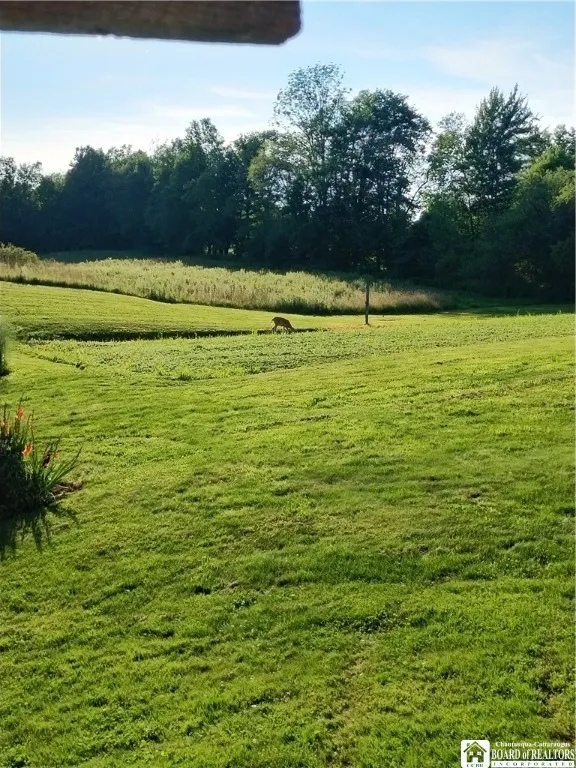 Deer enjoying himself (herself) once the garden is done