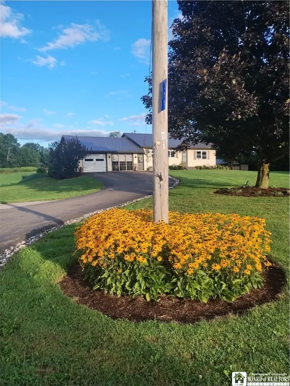 Balck eyed Susans around the telephone pole by the driveway