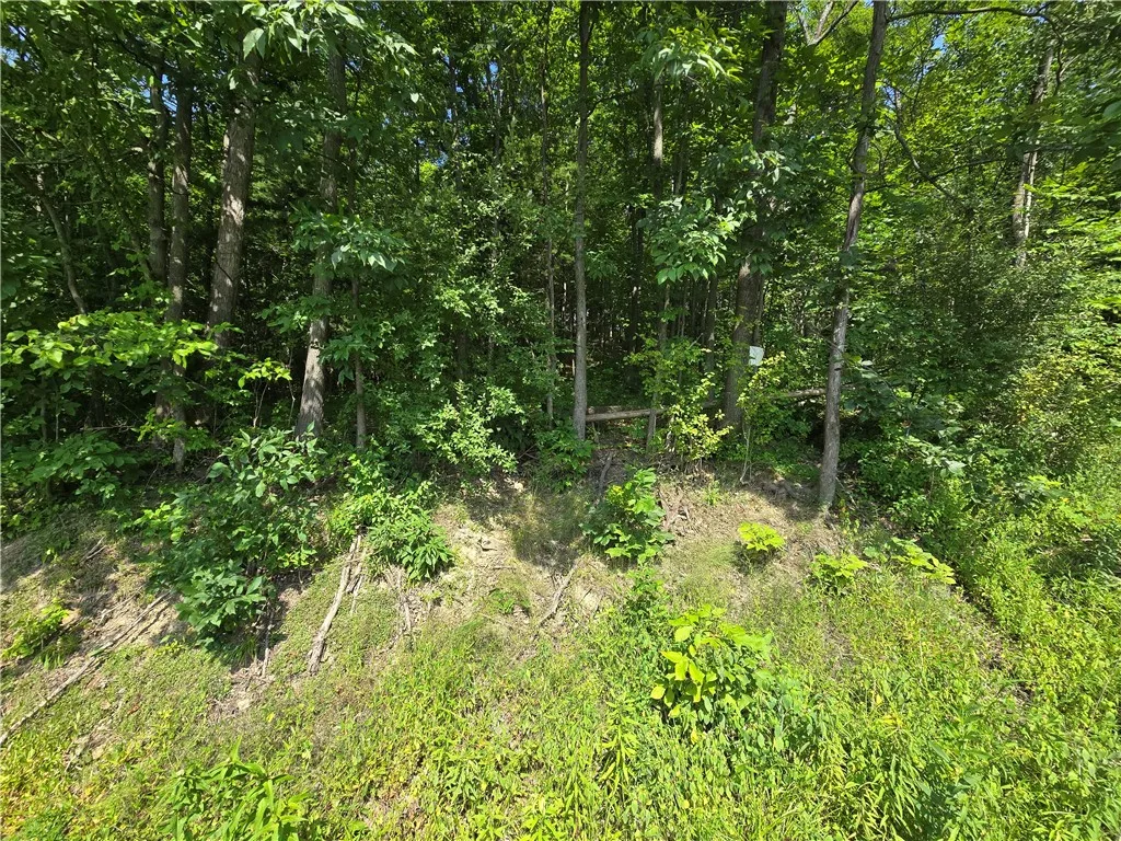 0 Warren Road, Middlesex, New York 14507, Middlesex, New York 14507, ,Land,For Sale,0 Warren Road, Middlesex, New York 14507,R1582687