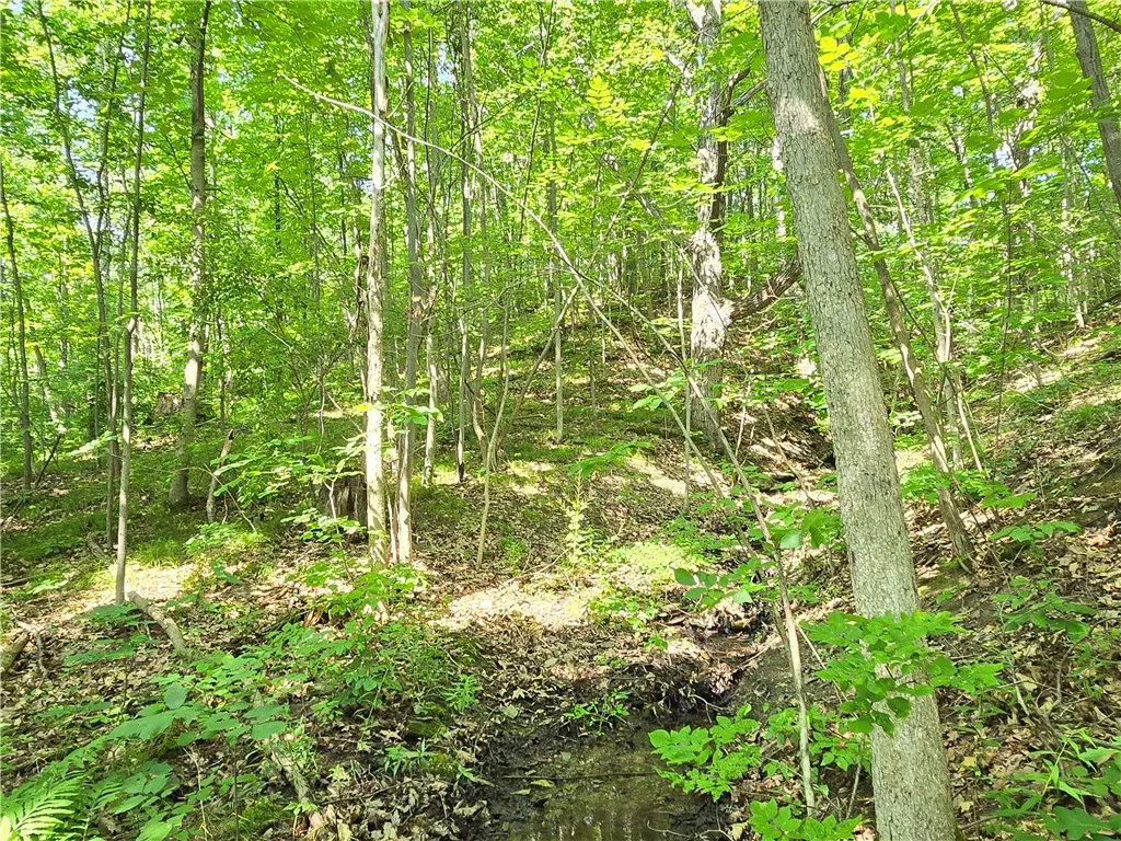 0 Warren Road, Middlesex, New York 14507, Middlesex, New York 14507, ,Land,For Sale,0 Warren Road, Middlesex, New York 14507,R1582687