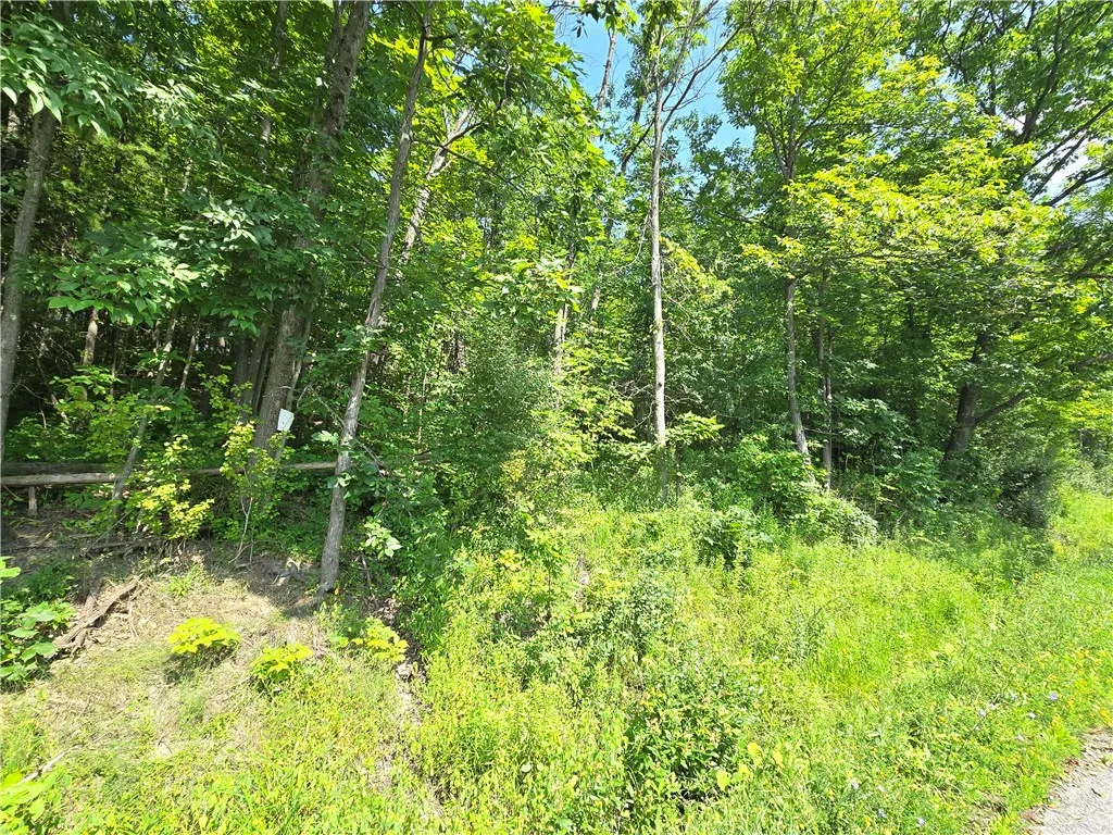 0 Warren Road, Middlesex, New York 14507, Middlesex, New York 14507, ,Land,For Sale,0 Warren Road, Middlesex, New York 14507,R1582687
