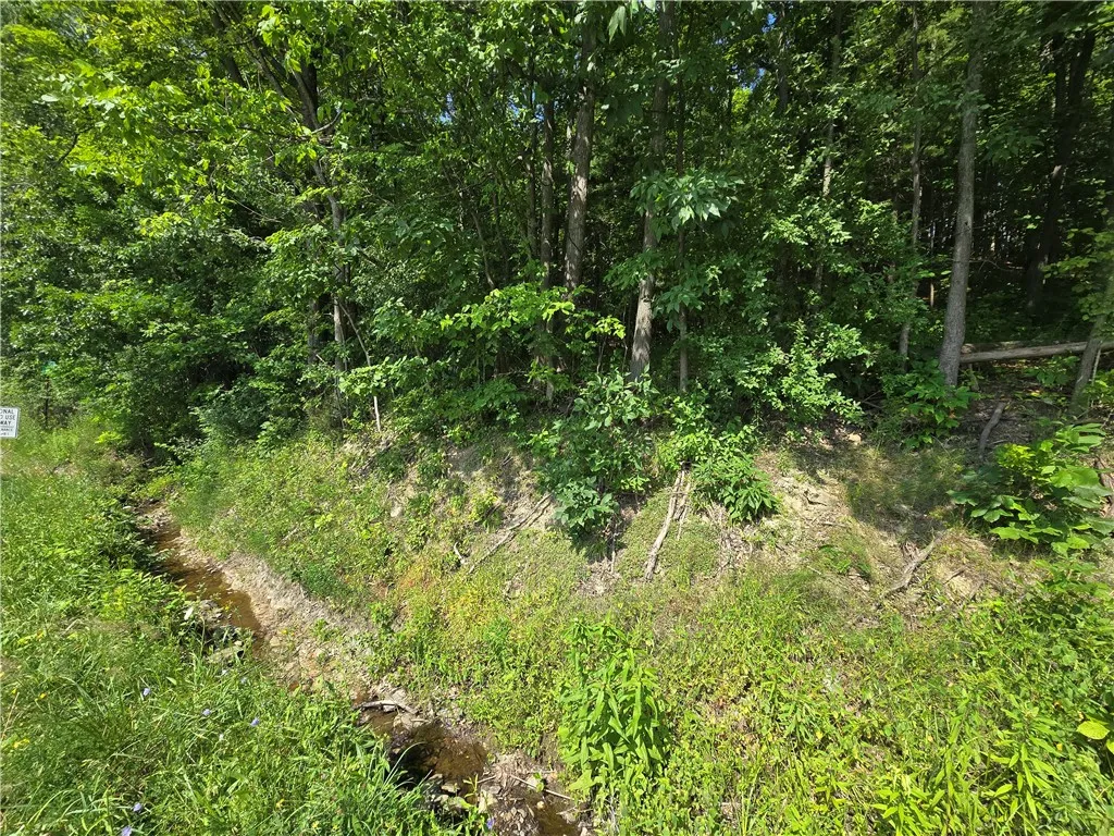 0 Warren Road, Middlesex, New York 14507, Middlesex, New York 14507, ,Land,For Sale,0 Warren Road, Middlesex, New York 14507,R1582687