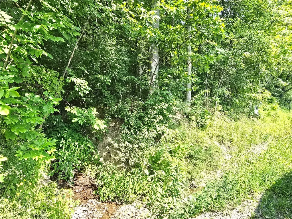 0 Warren Road, Middlesex, New York 14507, Middlesex, New York 14507, ,Land,For Sale,0 Warren Road, Middlesex, New York 14507,R1582687