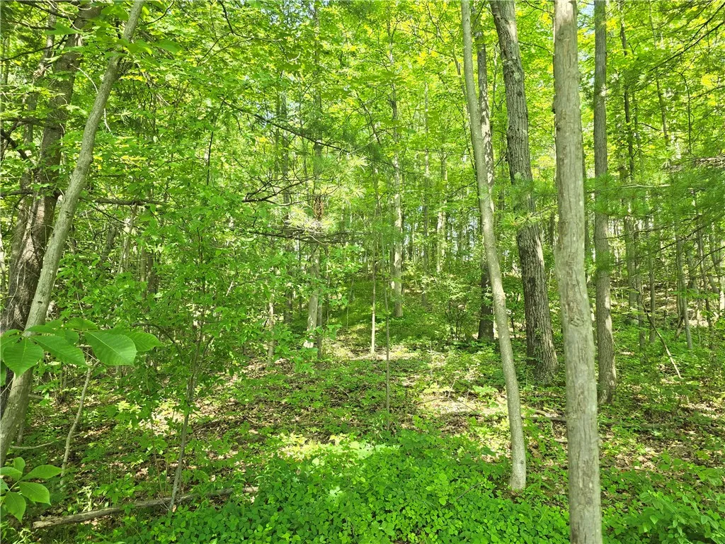 0 Warren Road, Middlesex, New York 14507, Middlesex, New York 14507, ,Land,For Sale,0 Warren Road, Middlesex, New York 14507,R1582687