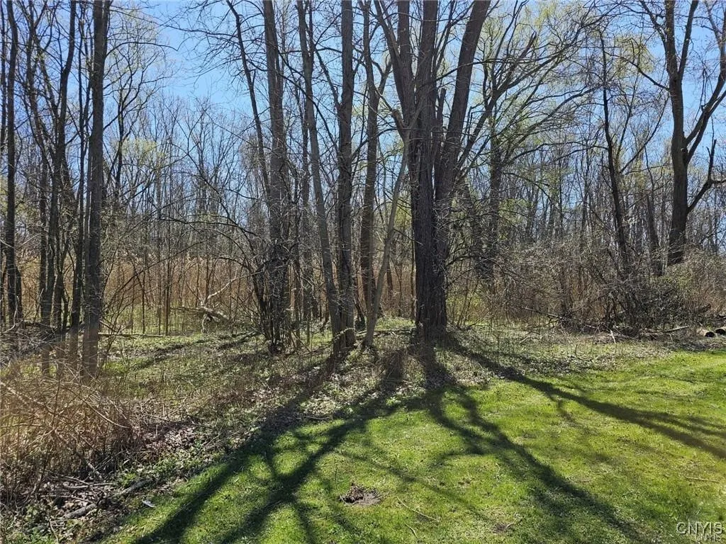 0 State Route 5, Elbridge, New York 13166, Elbridge, New York 13166, ,Land,For Sale,0 State Route 5, Elbridge, New York 13166,0,S1582573