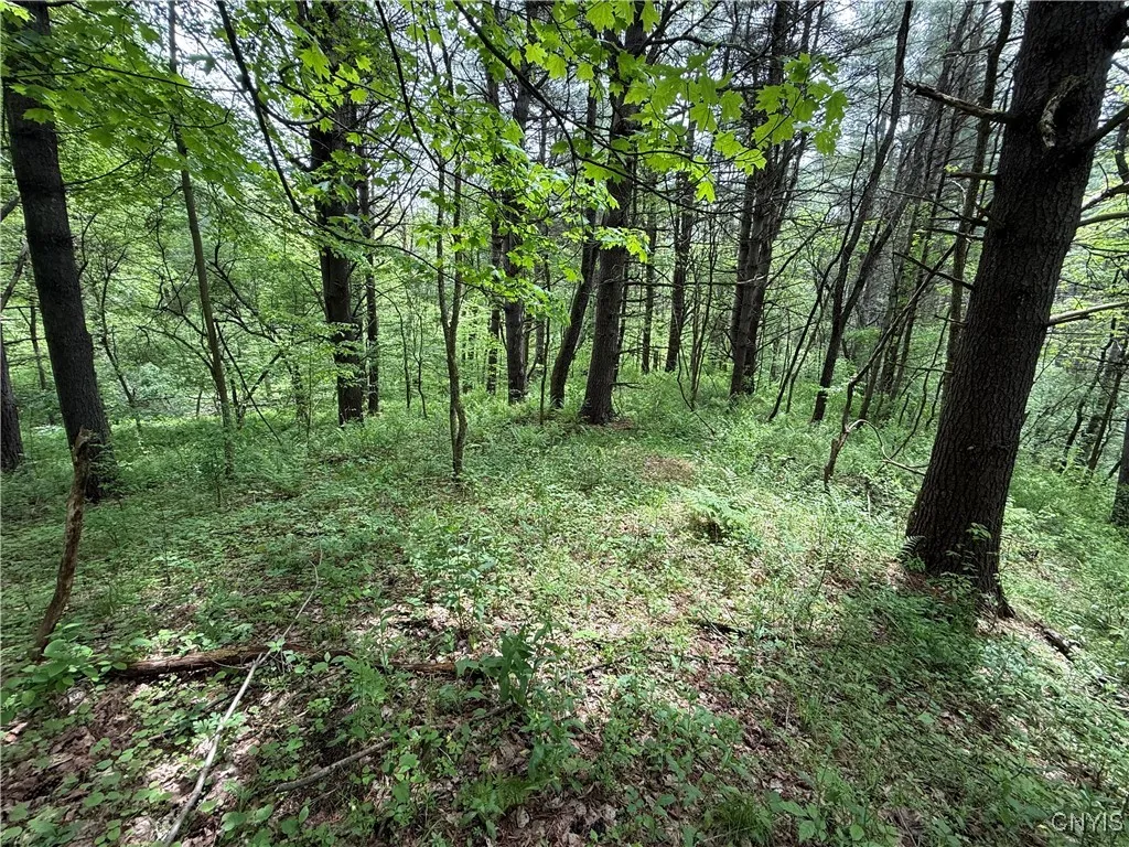 170 Fisher Settlement Road, Spencer, New York 1488, Spencer, New York 14883, ,Land,Closed,170 Fisher Settlement Road, Spencer, New York 1488,0,S1581231