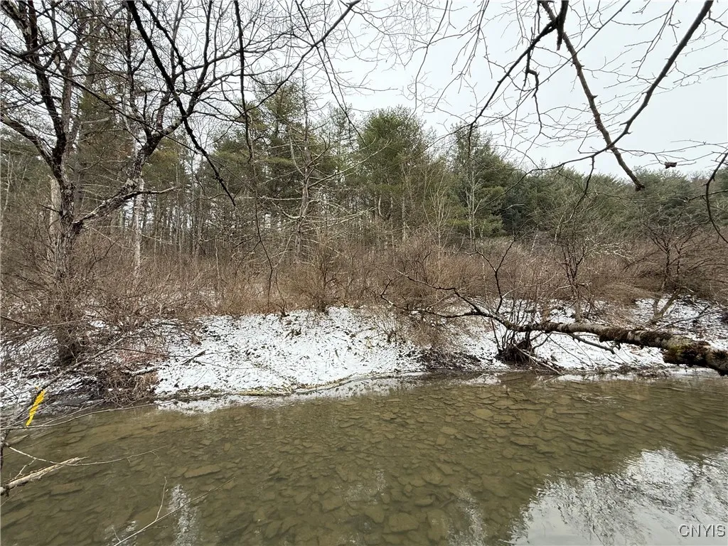 Lake Rd side of the Property