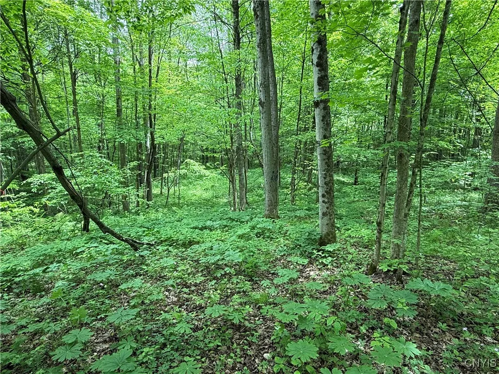 170 Fisher Settlement Road, Spencer, New York 1488, Spencer, New York 14883, ,Land,Closed,170 Fisher Settlement Road, Spencer, New York 1488,0,S1581231