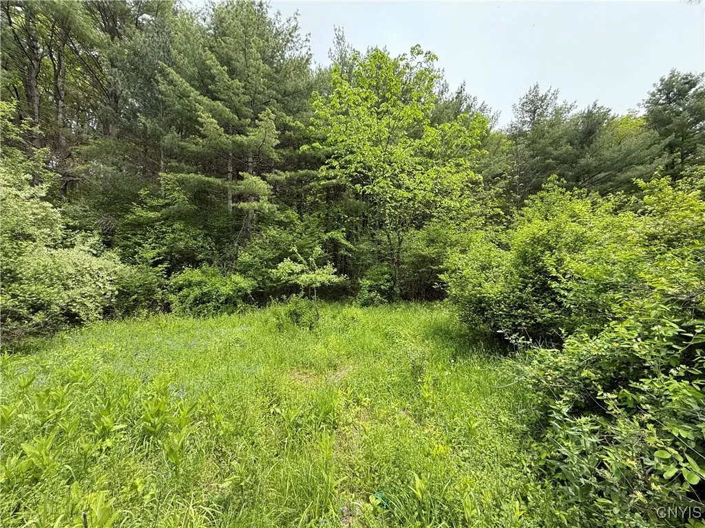 170 Fisher Settlement Road, Spencer, New York 1488, Spencer, New York 14883, ,Land,Closed,170 Fisher Settlement Road, Spencer, New York 1488,0,S1581231