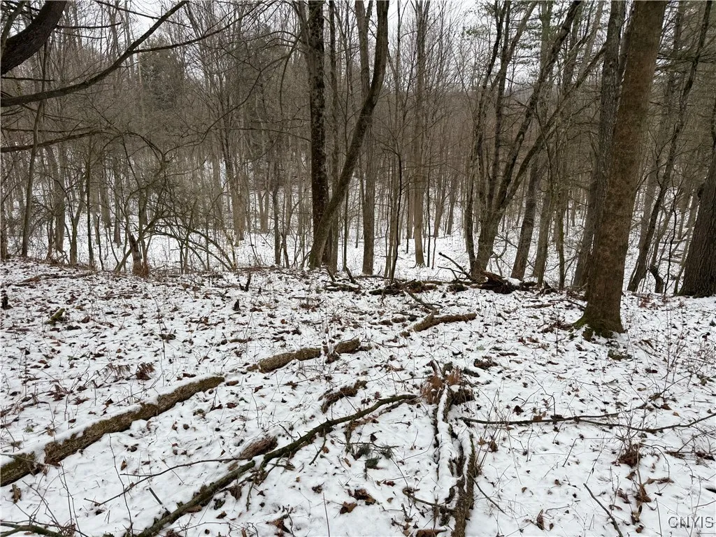 170 Fisher Settlement Road, Spencer, New York 1488, Spencer, New York 14883, ,Land,Closed,170 Fisher Settlement Road, Spencer, New York 1488,0,S1581231