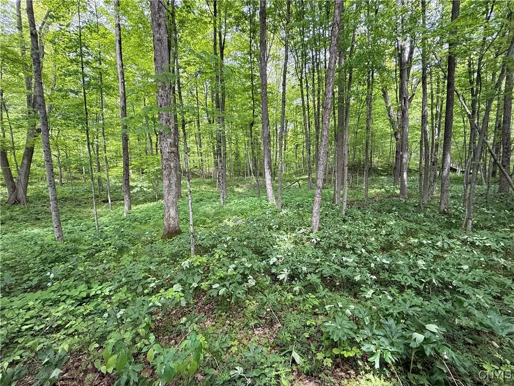 170 Fisher Settlement Road, Spencer, New York 1488, Spencer, New York 14883, ,Land,Closed,170 Fisher Settlement Road, Spencer, New York 1488,0,S1581231