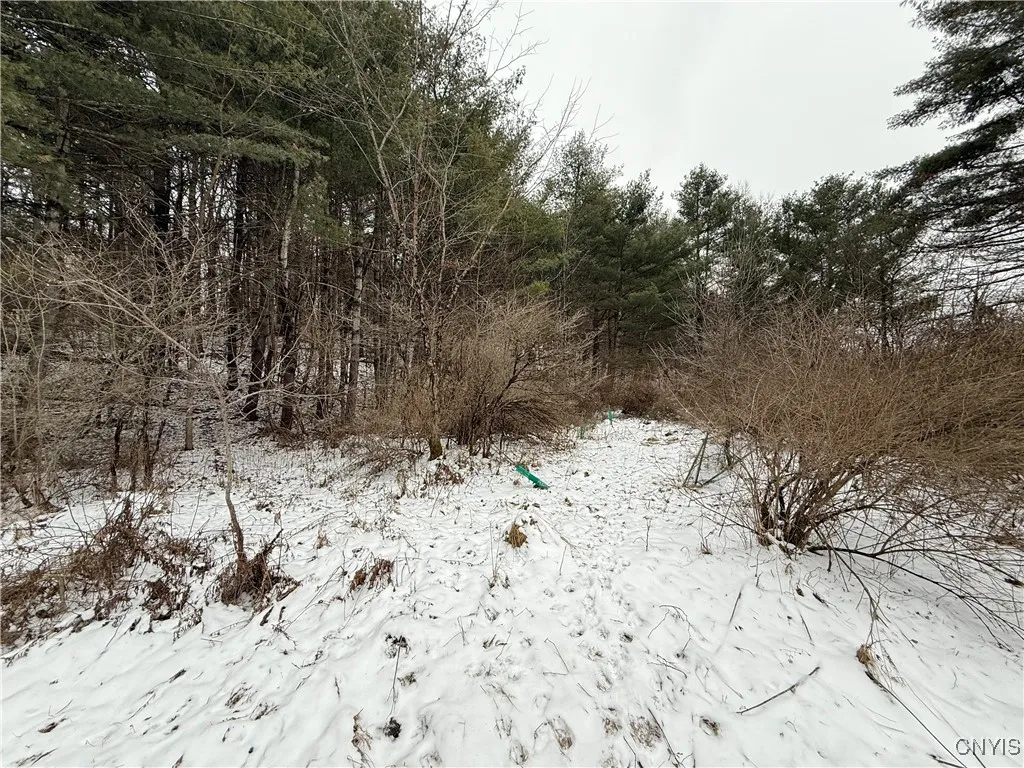 Lake Rd side of the Property