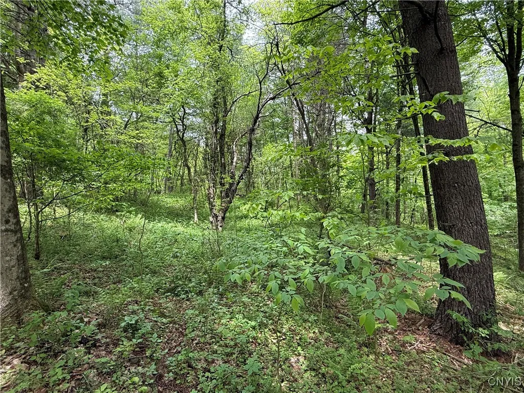 170 Fisher Settlement Road, Spencer, New York 1488, Spencer, New York 14883, ,Land,Closed,170 Fisher Settlement Road, Spencer, New York 1488,0,S1581231