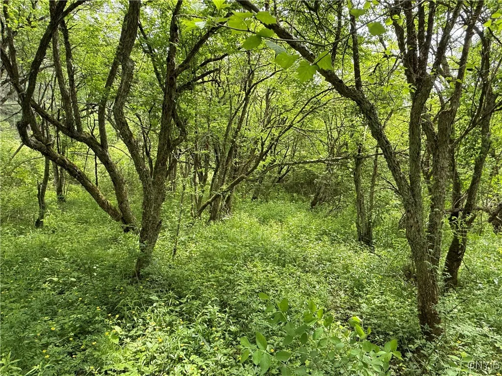 170 Fisher Settlement Road, Spencer, New York 1488, Spencer, New York 14883, ,Land,Closed,170 Fisher Settlement Road, Spencer, New York 1488,0,S1581231