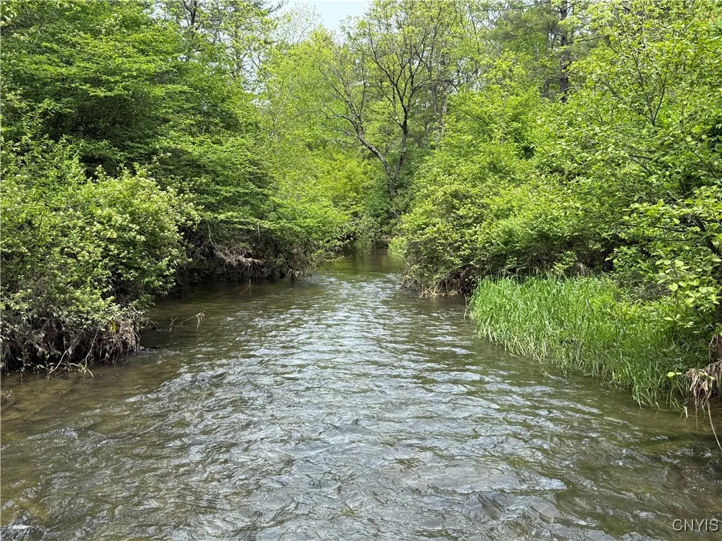 170 Fisher Settlement Road, Spencer, New York 1488, Spencer, New York 14883, ,Land,Closed,170 Fisher Settlement Road, Spencer, New York 1488,0,S1581231