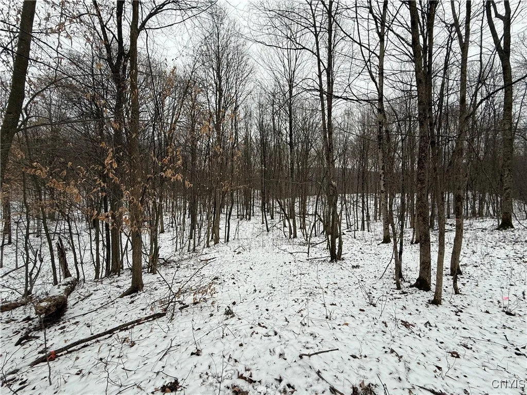 170 Fisher Settlement Road, Spencer, New York 1488, Spencer, New York 14883, ,Land,Closed,170 Fisher Settlement Road, Spencer, New York 1488,0,S1581231