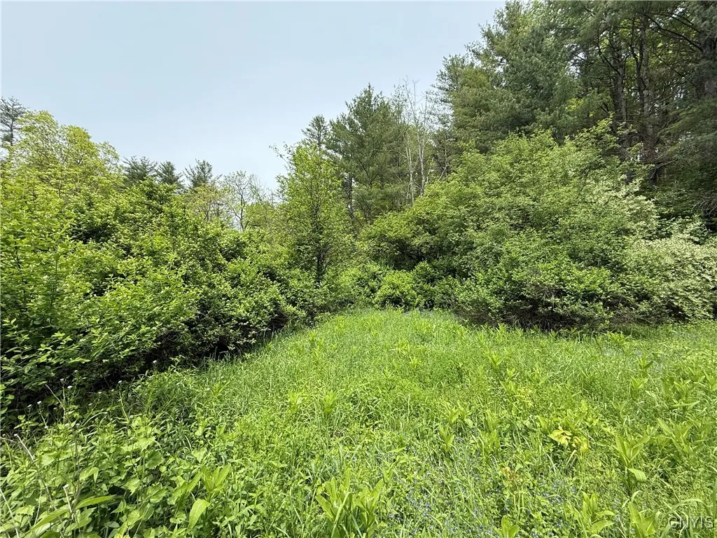 170 Fisher Settlement Road, Spencer, New York 1488, Spencer, New York 14883, ,Land,Closed,170 Fisher Settlement Road, Spencer, New York 1488,0,S1581231