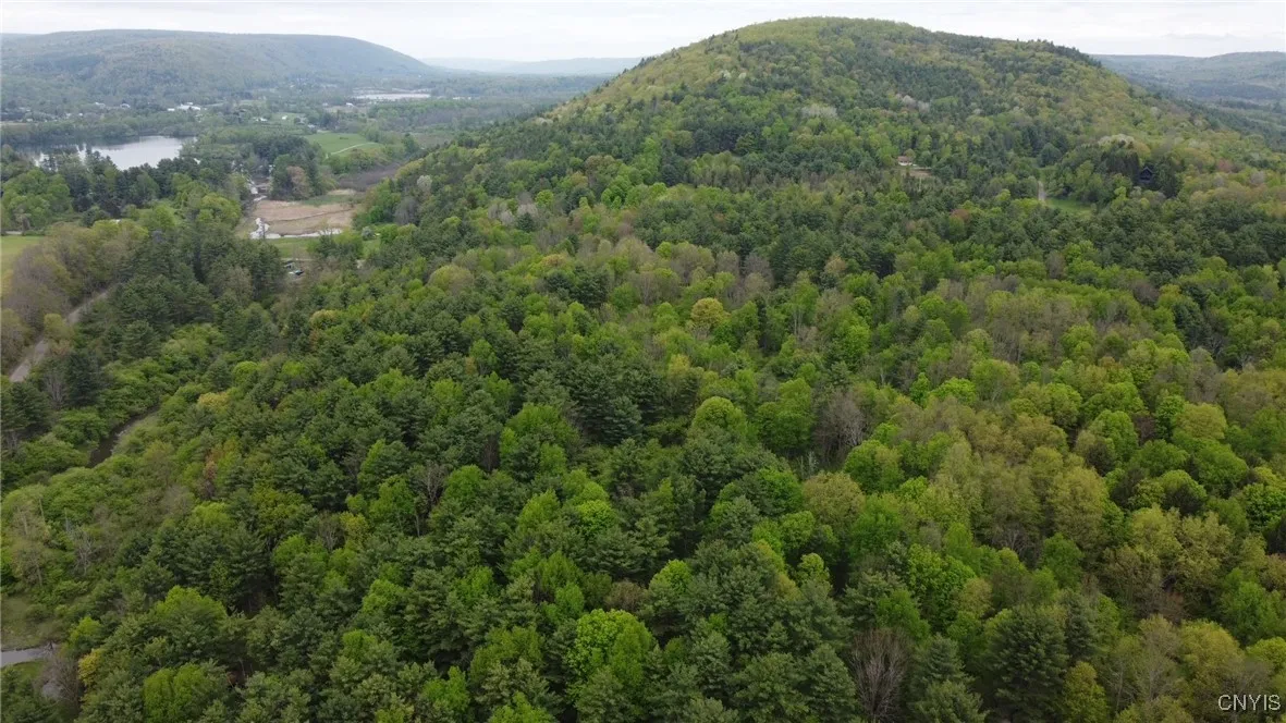 170 Fisher Settlement Road, Spencer, New York 1488, Spencer, New York 14883, ,Land,Closed,170 Fisher Settlement Road, Spencer, New York 1488,0,S1581231