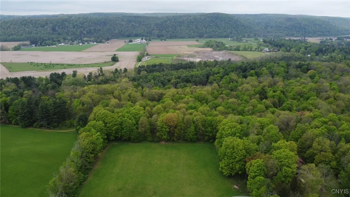 170 Fisher Settlement Road, Spencer, New York 1488, Spencer, New York 14883, ,Land,Closed,170 Fisher Settlement Road, Spencer, New York 1488,0,S1581231