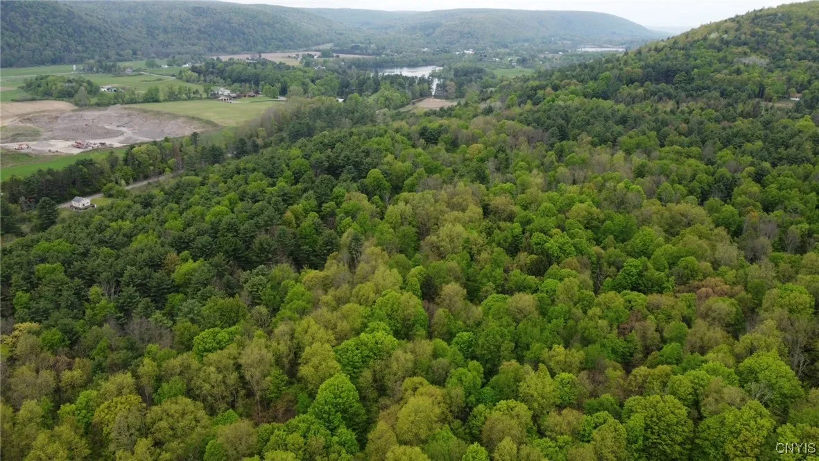 170 Fisher Settlement Road, Spencer, New York 1488, Spencer, New York 14883, ,Land,Closed,170 Fisher Settlement Road, Spencer, New York 1488,0,S1581231