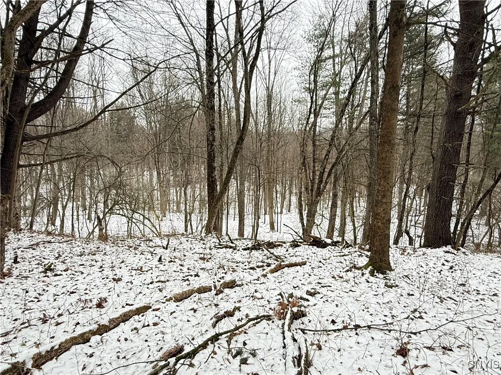 170 Fisher Settlement Road, Spencer, New York 1488, Spencer, New York 14883, ,Land,Closed,170 Fisher Settlement Road, Spencer, New York 1488,0,S1581231