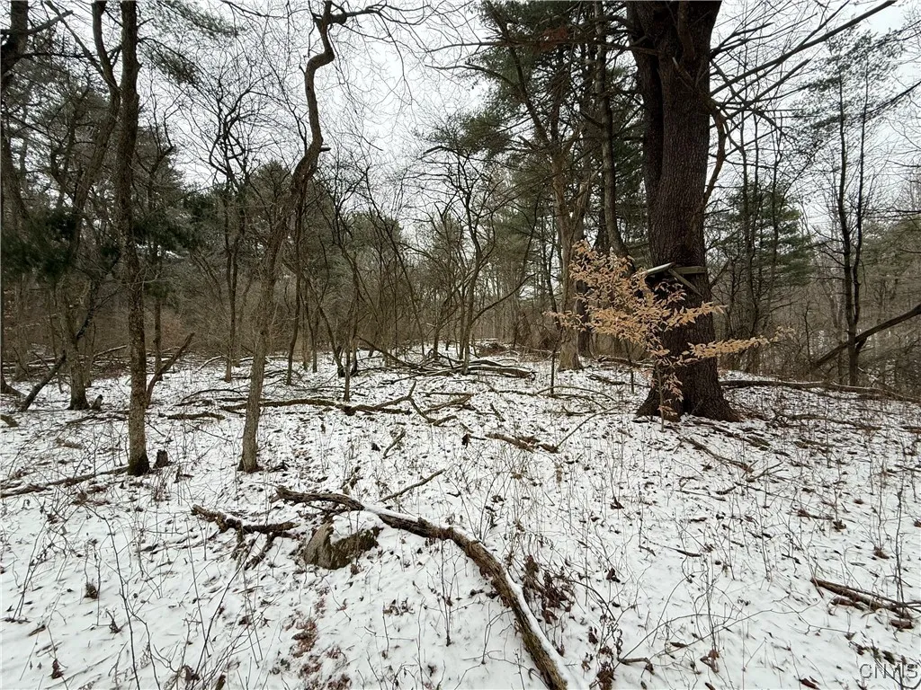 170 Fisher Settlement Road, Spencer, New York 1488, Spencer, New York 14883, ,Land,Closed,170 Fisher Settlement Road, Spencer, New York 1488,0,S1581231