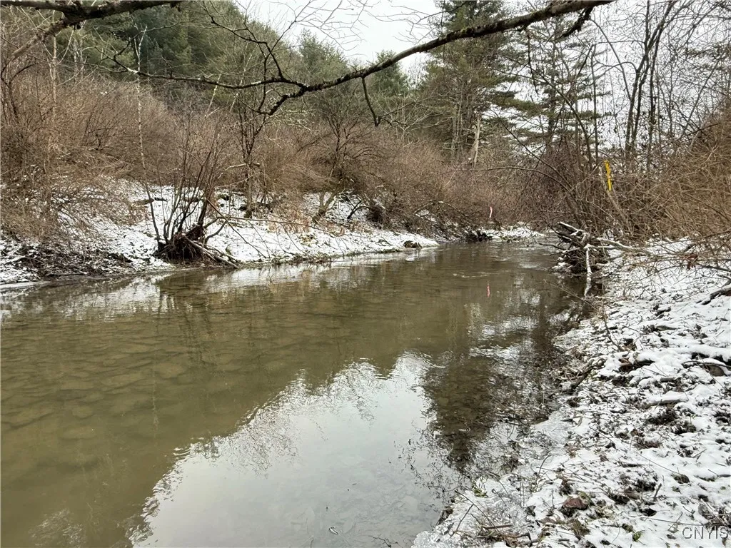 Lake Rd side of the Property