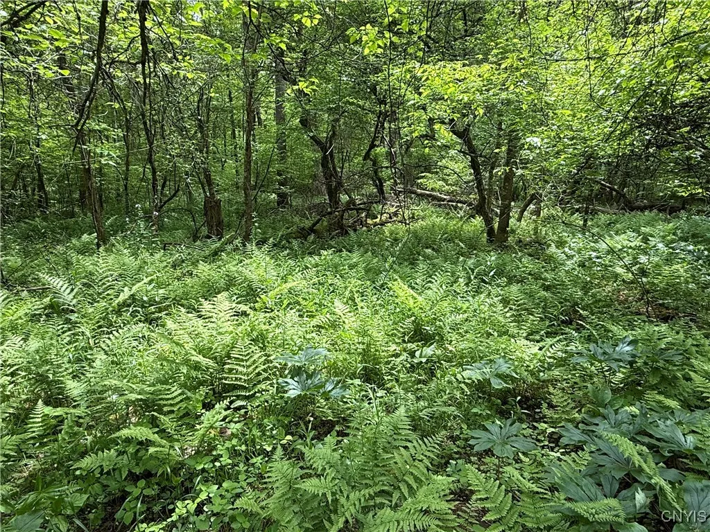 170 Fisher Settlement Road, Spencer, New York 1488, Spencer, New York 14883, ,Land,Closed,170 Fisher Settlement Road, Spencer, New York 1488,0,S1581231