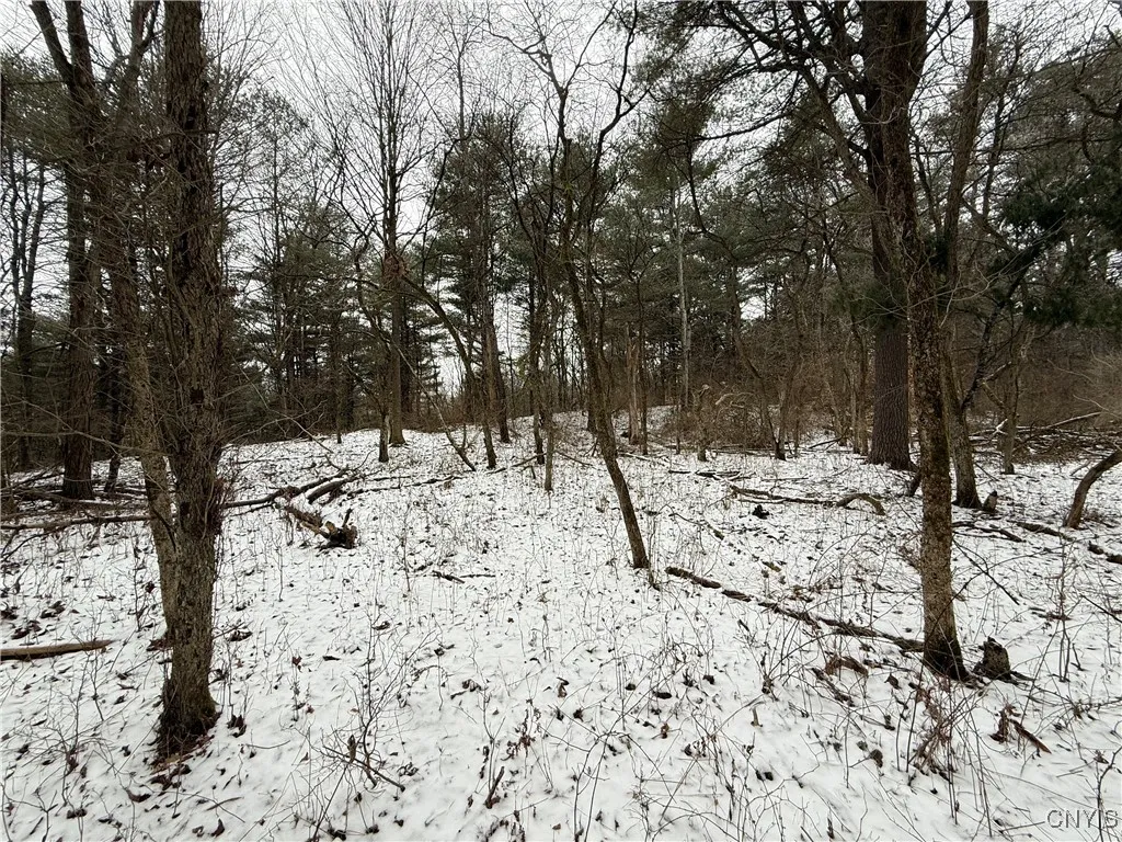 170 Fisher Settlement Road, Spencer, New York 1488, Spencer, New York 14883, ,Land,Closed,170 Fisher Settlement Road, Spencer, New York 1488,0,S1581231