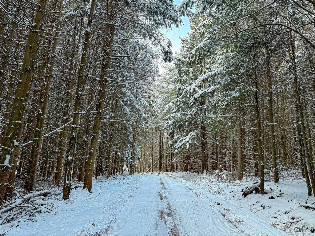00 Fawn Lake Road, Addison, New York 14801, Addison, New York 14801, ,Land,Closed,00 Fawn Lake Road, Addison, New York 14801,0,S1583320
