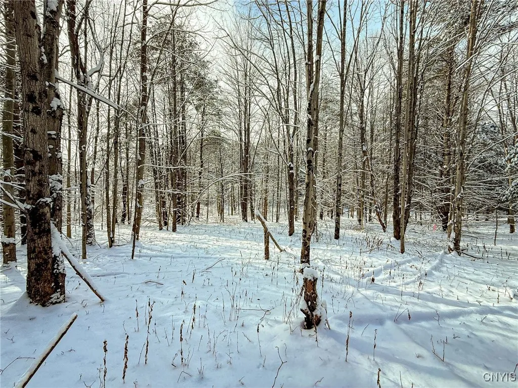 00 Fawn Lake Road, Addison, New York 14801, Addison, New York 14801, ,Land,Closed,00 Fawn Lake Road, Addison, New York 14801,0,S1583320