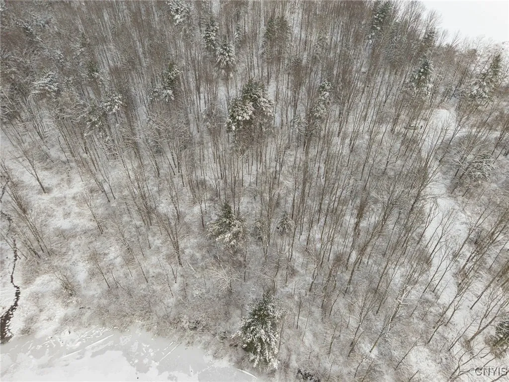 00 Fawn Lake Road, Addison, New York 14801, Addison, New York 14801, ,Land,Closed,00 Fawn Lake Road, Addison, New York 14801,0,S1583320