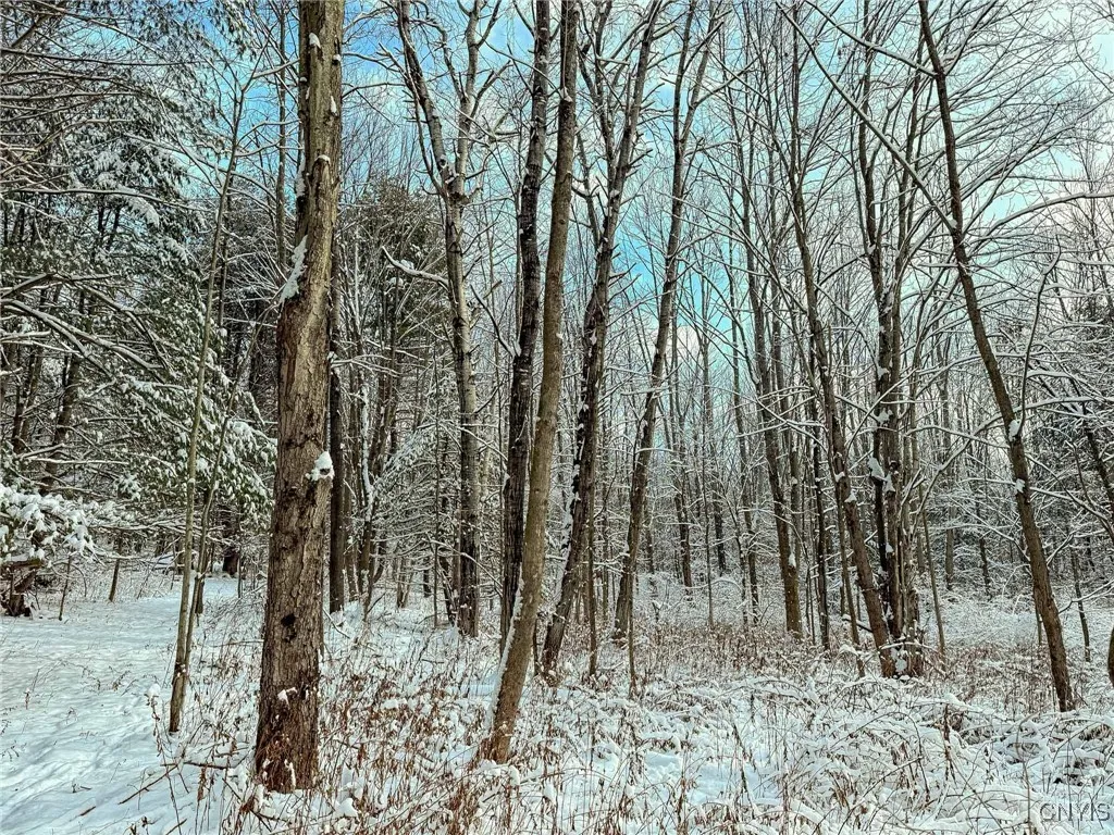 00 Fawn Lake Road, Addison, New York 14801, Addison, New York 14801, ,Land,Closed,00 Fawn Lake Road, Addison, New York 14801,0,S1583320