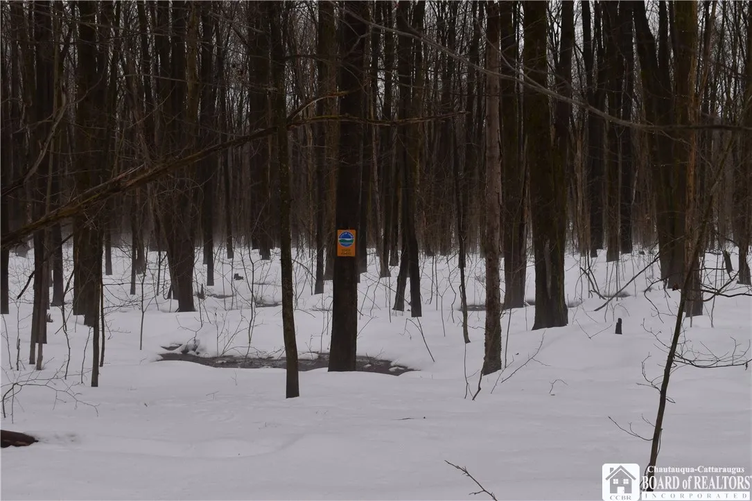 Harris Hill Road, Gerry, New York 14740, Gerry, New York 14740, ,Land,Closed,Harris Hill Road, Gerry, New York 14740,0,R1583198